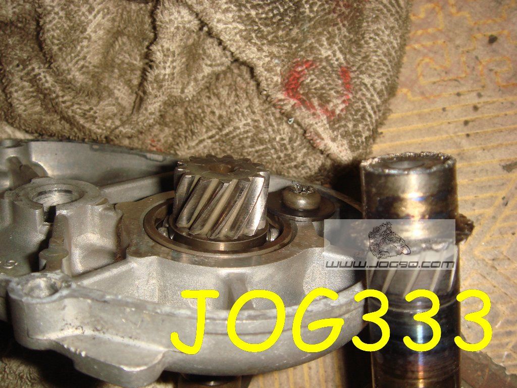 dsc00690.jpg